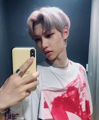 stray felix selca