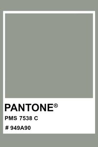 PANTONE 7538 C #pantone #color #PMS #hex