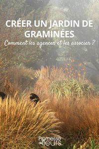 jardin de graminées