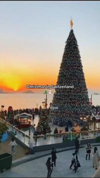 "Discover the enchantment of 'Christmas in Switzerland' in our breathtaking video! 🇨🇭✨ From snow-covered Alpine villages to festive markets with the scent of Swiss chocolate in the air, experience the magic of the season against a backdrop of stunning landscapes. Join us in celebrating the cozy charm, timeless traditions, and festive spirit that make Christmas in Switzerland an unforgettable winter wonderland! 🎄❄️ #SwissChristmas #WinterMagic #AlpineTraditions #FestiveScenery"