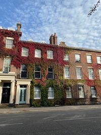 #autumn #house #cutehouse #liverpool #autumnhouse #ivy #fall