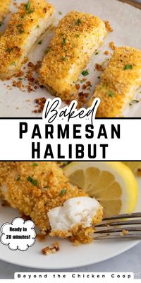 Cooking halibut is easier than you might think, and this parmesan-crusted halibut recipe will have you mastering it on your first try. This baked, panko-crusted halibut is a guaranteed hit for dinner and can be ready in just 20 minutes. By coating the halibut in an egg wash, then in panko breadcrumbs mixed with grated Parmesan cheese, you'll lock in the moisture, ensuring the fish doesn't dry out. Follow this recipe and my cooking tips, and you'll have perfectly cooked halibut every time!