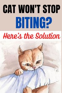 6 Reasons Why Cats Bite: Some cats bite, and some cats don’t. Also, different cats bite for different reasons. In order to figure out how to train your cat to stop biting, you must first discover the reasons why they’re doing it. Here are six of the most common reasons why cats bite. (includes video!) How to Stop Your Cat from BITING | Stop Cat Biting | How to Get a Cat to Stop Biting | Cat Bites