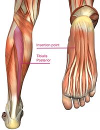 myofascial release