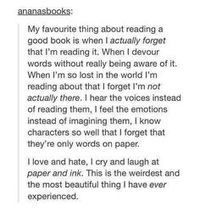 Getting lost in a book is the most magical feeling