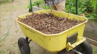 Replenishing A Raised Garden Bed