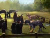 Our favourite Care of Magical Creatures lessons