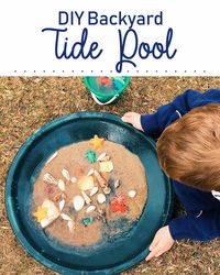 Don't live near the ocean? Make an easy backyard tide pool to explore with your children! #oceanstudy #oceanscience #homeschool #handsonlearning #scienceforkids #tidepool #scienceactivity