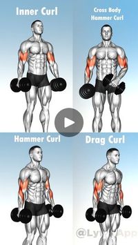 591K views · 4.7K reactions | Killer Bicep Exercise Variations 💪 | Lyfta - Gym Workout Tracker | Lyfta - Gym Workout Tracker · Original audio