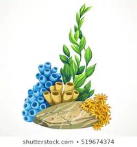 Cartoon Seaweed Stock Illustrations, Images & Vectors | Shutterstock