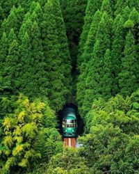 Forest Train Oita-Prefecture. Japan 📸By: fuji_san___