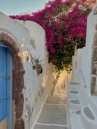 Santorini, greece, aesthetic, mamma mia, summer