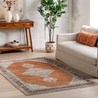 Jessa Lustered Medallion Rug | Terracotta – Rugs USA