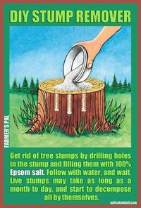 DIY Tree stump remover. I need to do this in my front yard. Landscaping & Gardening Makeover Project Idea |  DIY | D�cor Project Ideas Your Personal Home D�cor | Project Difficulty: Simple |  Garden Decorator Project  Makeover |  A New Way to Landscape |