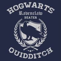 Ravenclaw Quidditch Cheap Funny T-Shirt Hogwarts Textual Tees