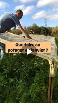 Potager en Normandie 👨‍🌾 on Instagram: "Que faire au potager en janvier ? 👨‍🌾
Et oui fini le repos 🤣 au passage excellente année potagère à tous 🥂 des bigs récoltes en 2025 👨‍🌾
Alors attention tout n'est pas à faire dès maintenant... Il faut étaler les charges sur tout le mois et selon vos régions décaler à février si le 🥶 est présent et si vous n'avez pas de serre...👨‍🌾 
Divers reels en préparation 😉
Rappel je suis à 10km de la mer en Normandie 

Semis : 
➡️Poivrons et piments (fin du mois en intérieur) 
➡️Aubergines (fin du mois en intérieur) 
➡️Radis (en serre ou en pot) variétés hâtives 
➡️Épinards (en serre ou en pot) 
➡️Fèves (extérieur sous tunnel) 
➡️Pois (extérieur sous tunnel) 
➡️Oignons (en serre en barquette) 
➡️Poireaux d'été (en serre en barquette) 
➡️Navets (exté