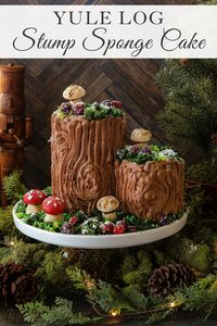 Yule Log Cake recipe