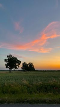 sunset, summer, summer vibe, pink sky, peace, countryside, countryside vibe, moon, summer sunset, village