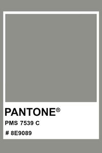 PANTONE 7539 C #pantone #color #PMS #hex