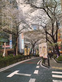 Located in Shibuya Tokyo, during cherry blossom season this bustling street turns into a scene straight out of an anime, gorgeous and centrally located a must see for anyone visiting tokyo in the spring ! For more travel tips follow @florence_masan on insta