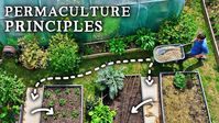 Self-Sufficiency Made Easier Using These 12 Principles!