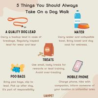 Ready for a dog walk? Don’t forget these 5 must-have items to make your stroll enjoyable and safe!🐾