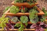 How to Build a Vertical Garden | Family Handyman