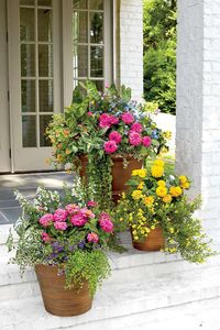 Our Best Container Gardening Ideas