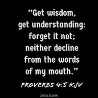 Proverbs 4:5