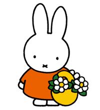 Miffy