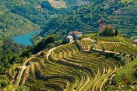 6. The Douro Valley, Portugal