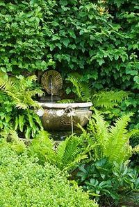 Fountain surrounded by the lushest greenery