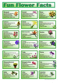 Flower Cards - English ESL Worksheets for distance learning and physical classrooms