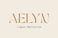 Aelyn - Luxury Ligature Serif Font – Pixel Surplus