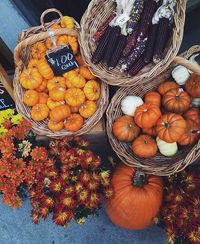 Fall Vegetables