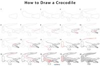 How to Draw a Crocodile (Step by Step Pictures) | Cool2bKids