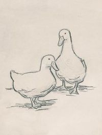 'Duck Sketch II' Art Print - June Vess | Art.com