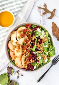 Healthy Fall Harvest Salad with Pumpkin Maple Dijon Dressing — Honest Grub, Honest Foodie