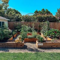 diy backyard garden