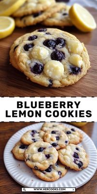 Satisfy your sweet tooth with these Delicious Blueberry Lemon Cookies! The bright flavors of blueberry and lemon combine for a light, flavorful cookie that’s perfect for any occasion or as a snack with tea.