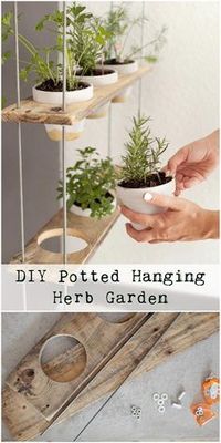 DIY Potted Hanging H