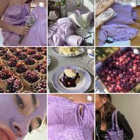 If Plum Pudding had an Instagram account