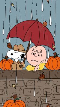 Snoopy and Charlie brown wallpaper (fall version🍂)