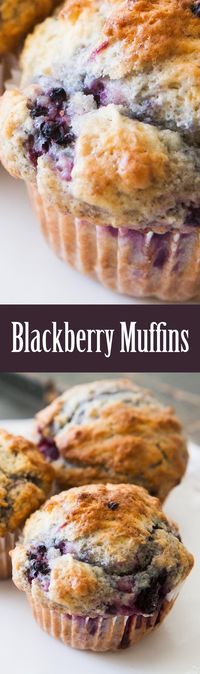 The BEST rich, tender, delicious blackberry muffins! These muffins are a family favorite, filled with juicy berries! #easy On SimplyRecipes.com