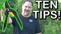 10 Tips How to Prune a Ton of Fruit Trees - YouTube