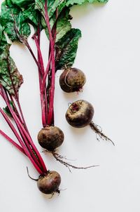 Beets 101: Everything you need to know about beetroot