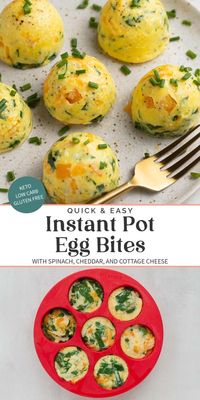 Extra Cheesy Instant Pot Egg Bites - 40 Aprons