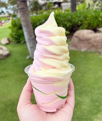 Celebrate National Dole Whip Day with a swirl of tropical delight! 🍦🍍Whether you’re at Disney Parks or craving a sweet escape at home, this pineapple treat is the perfect way to cool off and indulge. #dolewhipe #nationaldolewhipday #disney #disneyparks #travelagent #vacation