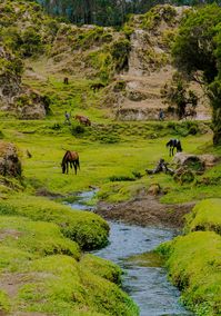 Ethiopia #ethiopia #african