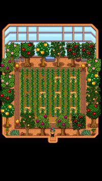 Greenhouse layout for stardew valley